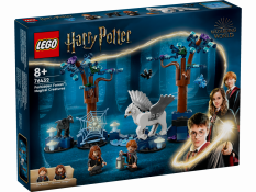 LEGO® Harry Potter™ 76432 Pădurea Interzisă: Creaturi magice