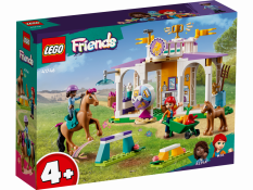 LEGO® Friends 41746 Paardentraining
