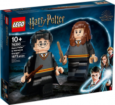 LEGO® Harry Potter™ 76393 Harry Potter e Hermione Granger™