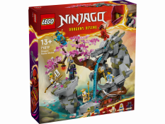 LEGO® Ninjago® 71819 Santuario de Piedra del Dragón