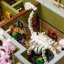 LEGO® Icons 10326 Muzeum Historii Naturalnej