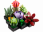 LEGO® Icons 10309 Vetplanten