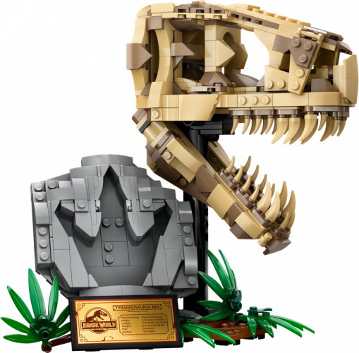 LEGO® Jurassic World™ 76964 Szkielety dinozaurów — czaszka tyranozaura