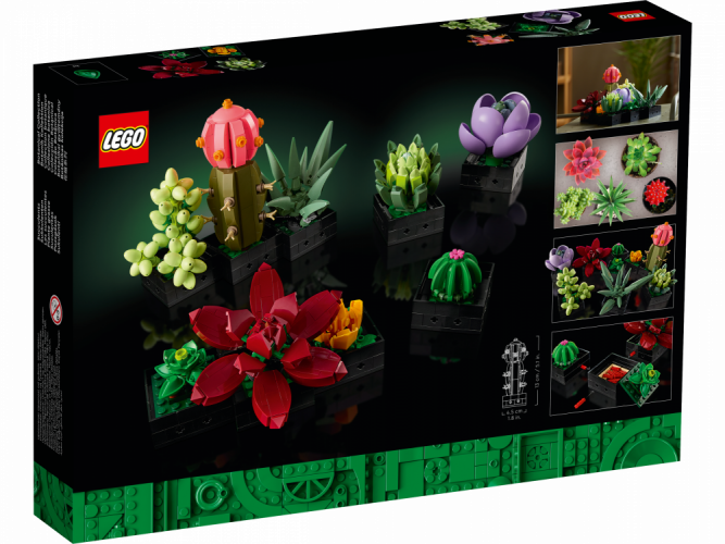 LEGO® Icons 10309 Piante grasse