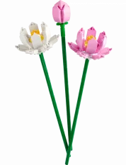 LEGO® 40647 Flori de lotus