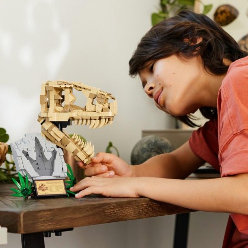 LEGO® Jurassic World™ 76964 Dinosaur Fossils: T. rex Skull